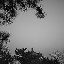 万元《死亡搁浅》电子挂画让你在家欣赏末世美景